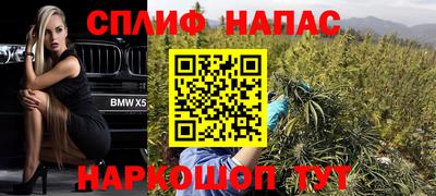 хмурый Бийск
