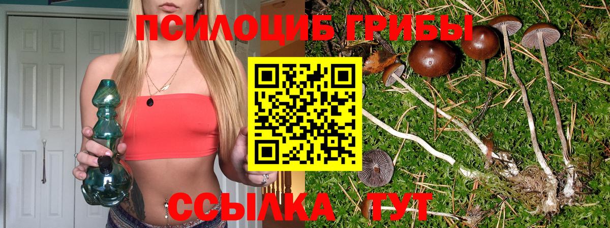 Галлюциногенные грибы MAGIC MUSHROOMS Зеленогорск