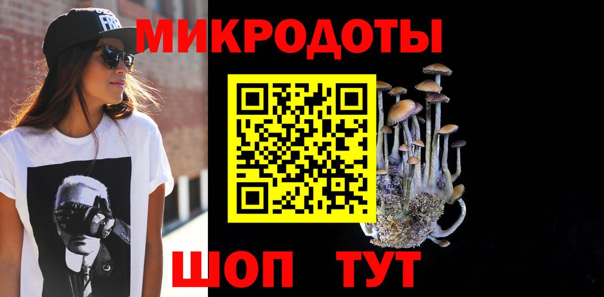 ГАШИШ Зеленогорск